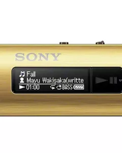 Sony Walkman with Built-in USB (Gold) SNY-NWZB183F/N