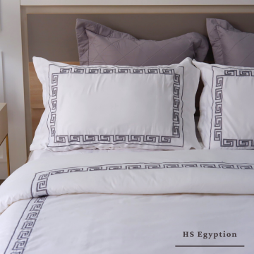 Extra 2 Pillow / Bolster Cases HS Egyption
