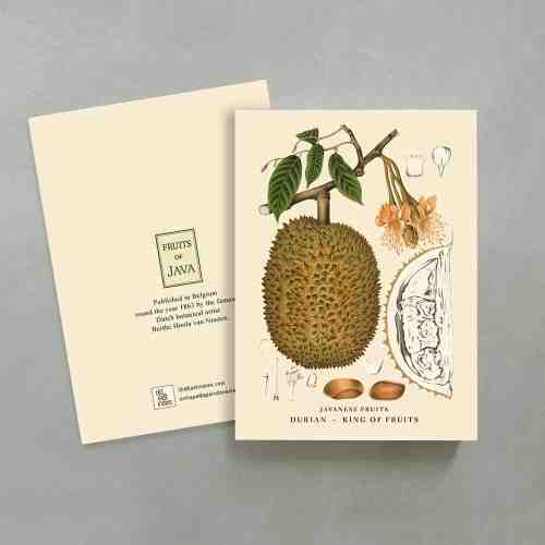Old East Indies Ring Book King Fruits - Durian