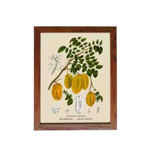 Lumikasa Art Frame Javanese Fruits - Blimbing / Star Fruit