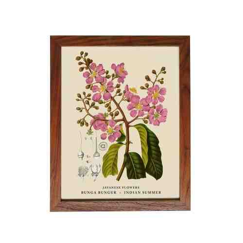 Old East Indies Frame Javanese Flowers - Bunga Bungur / Indian Summer