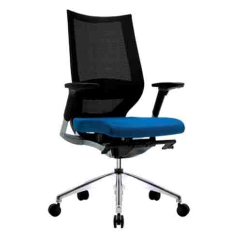 Firm Fortis Chair