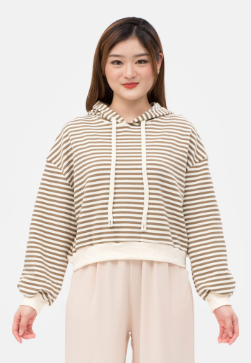 Jia Stripe Hoody Sweater in Brown image