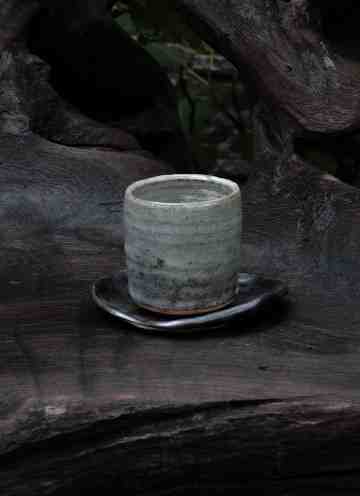 Ash Cup